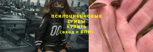 спиды Слюдянка