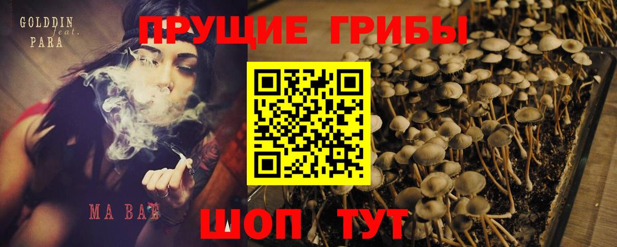 Галлюциногенные грибы MAGIC MUSHROOMS  Вход с VPN  Псилоцибиновые грибы Cubensis  купить  сайты  Коломна 